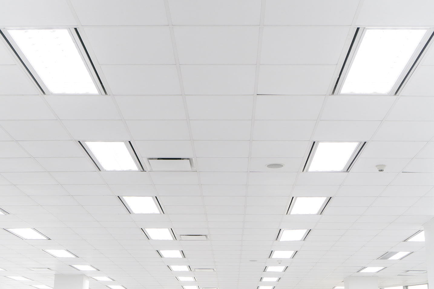 Wrapid Ceiling Tiles